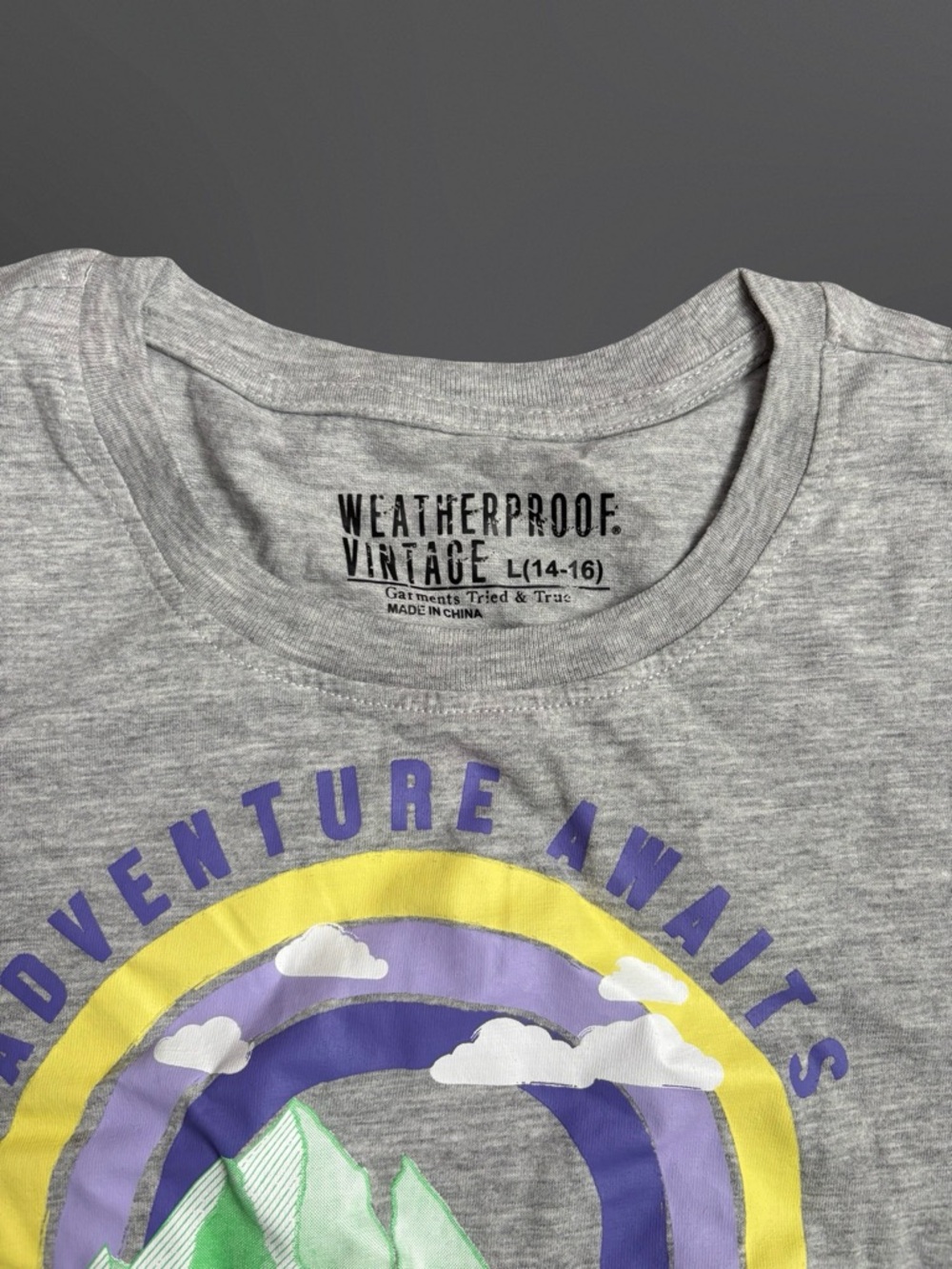 Weatherproof Kids 'Adventure Awaits' Gray Graphic Tee Size L - Picture 3 of 5